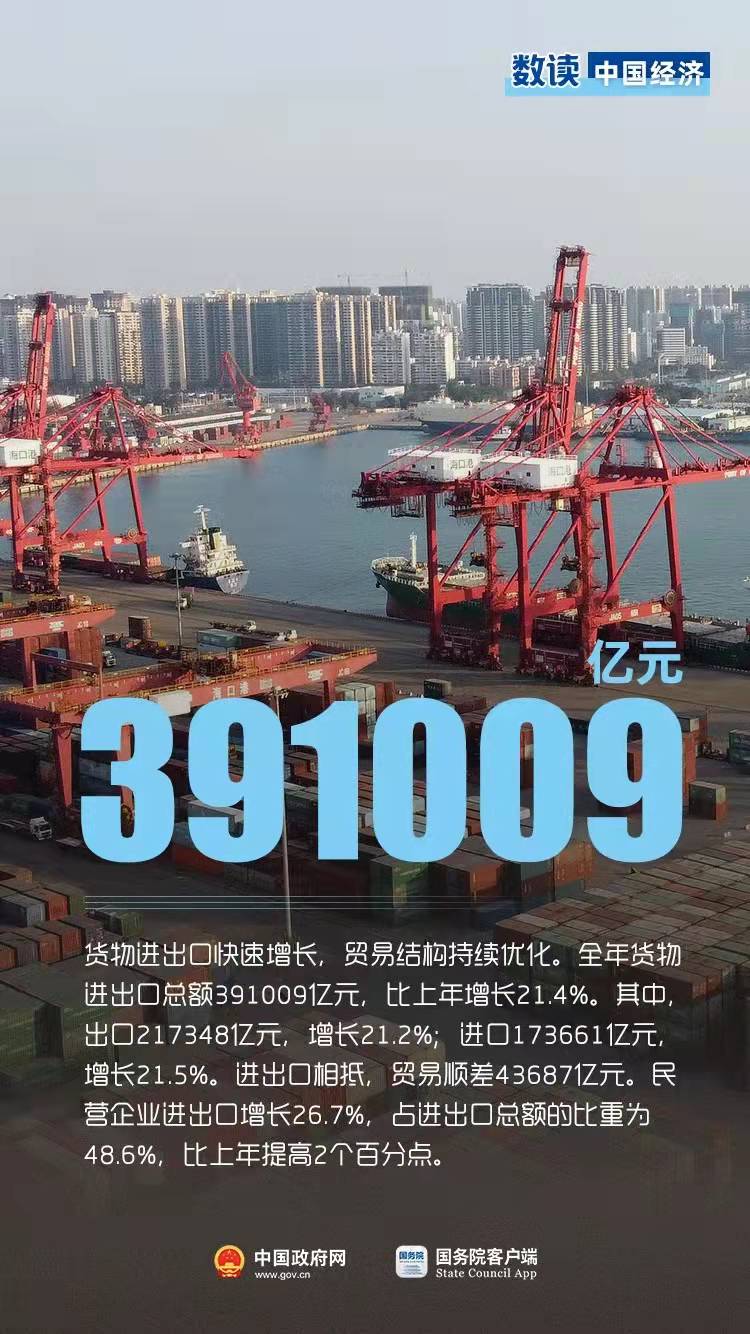 10个数据速度2021年中国经济(图10)